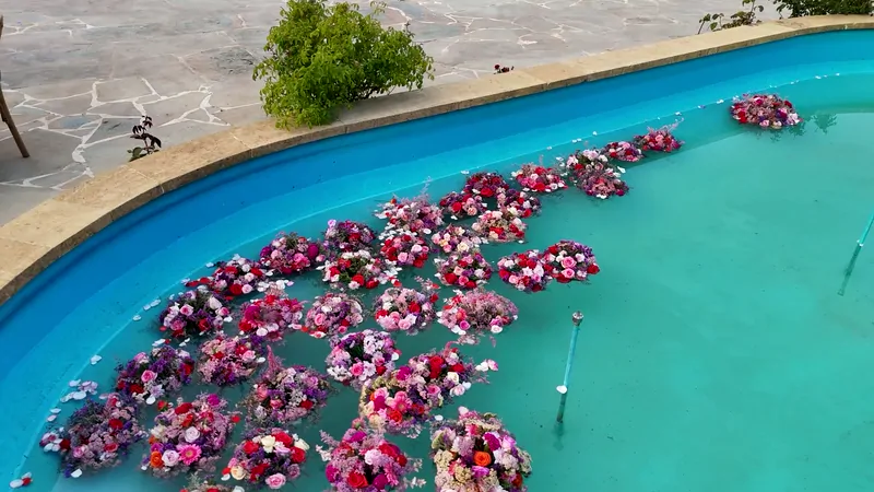 The pool covered in floating roses